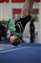 Gymnastics 027.JPG